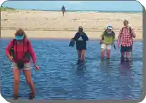 Hikers wading across the Uilkraal River estuary